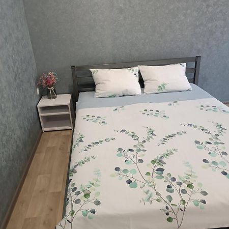Две Уютные Квартиры В Центре Города Дзержинка - New Apartments كريفوي روغ المظهر الخارجي الصورة