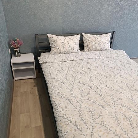 Две Уютные Квартиры В Центре Города Дзержинка - New Apartments كريفوي روغ المظهر الخارجي الصورة